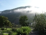 P9115293 (Large)